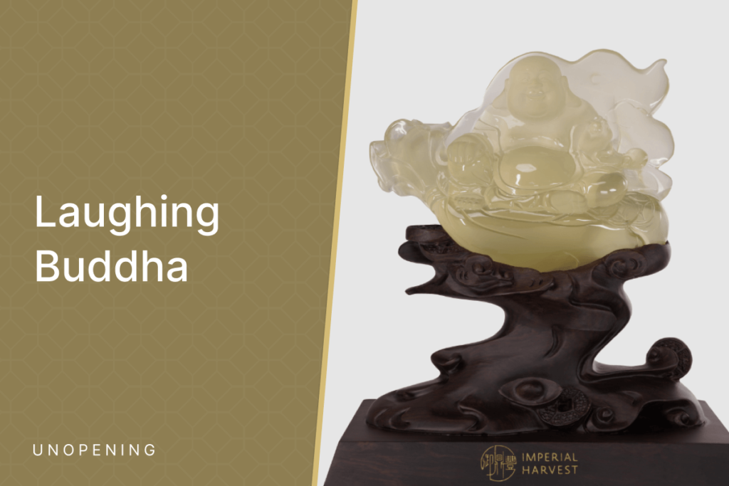 Laughing Buddha (Ref: 3682)